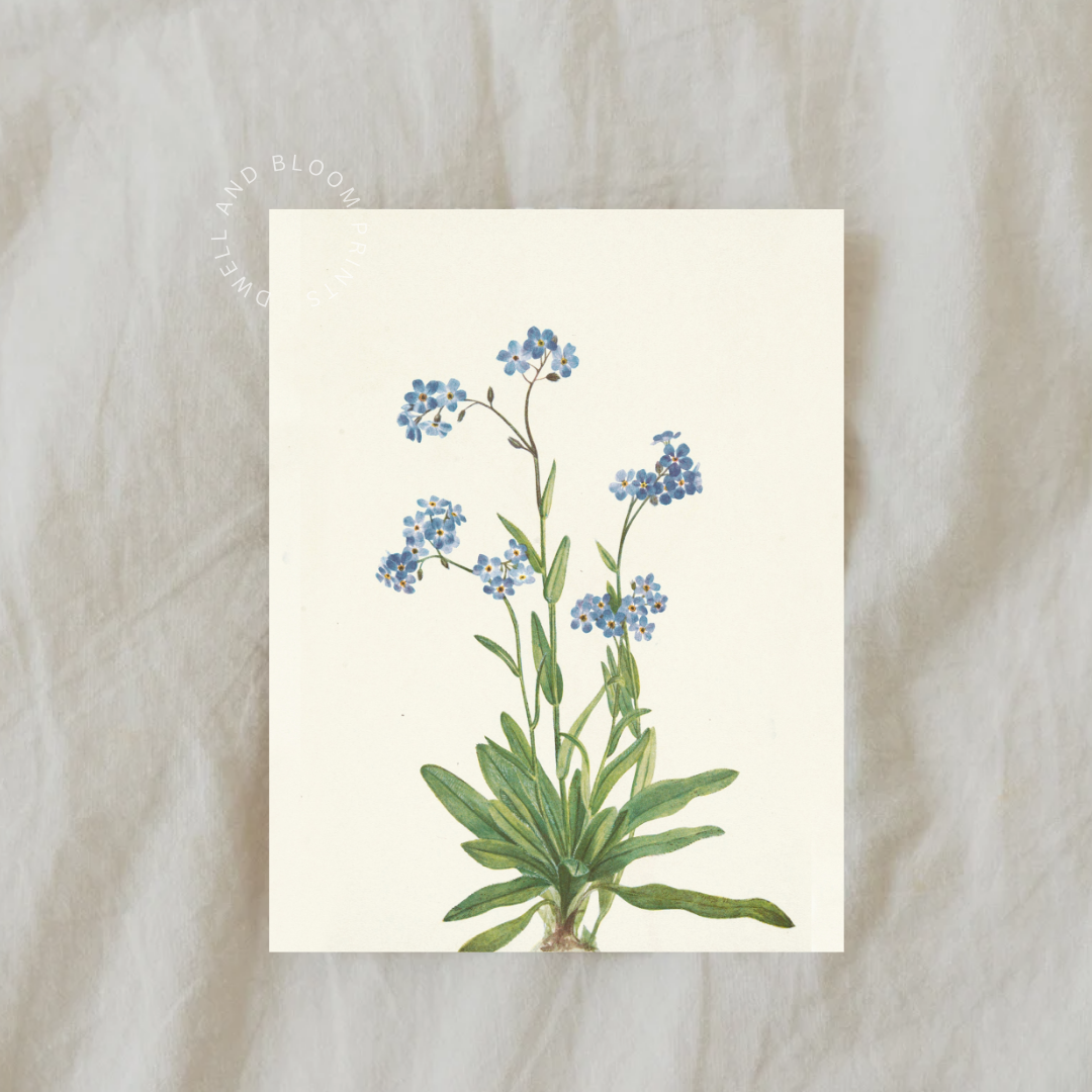 Vintage Floral Botanical Art Print | Vintage Botanical Wall Art