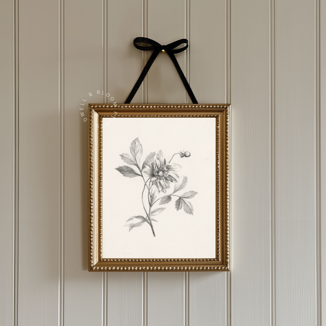 Vintage Botanical Illustration | Neutral Botanical Art Print