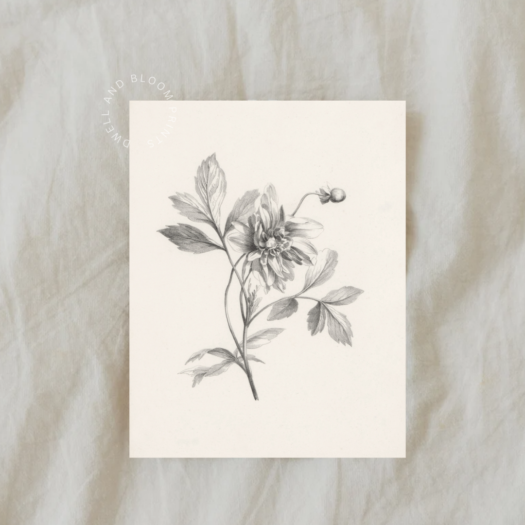 Vintage Botanical Illustration | Neutral Botanical Art Print