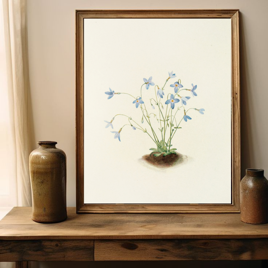Vintage Floral Art Print | Vintage Botanical Illustration