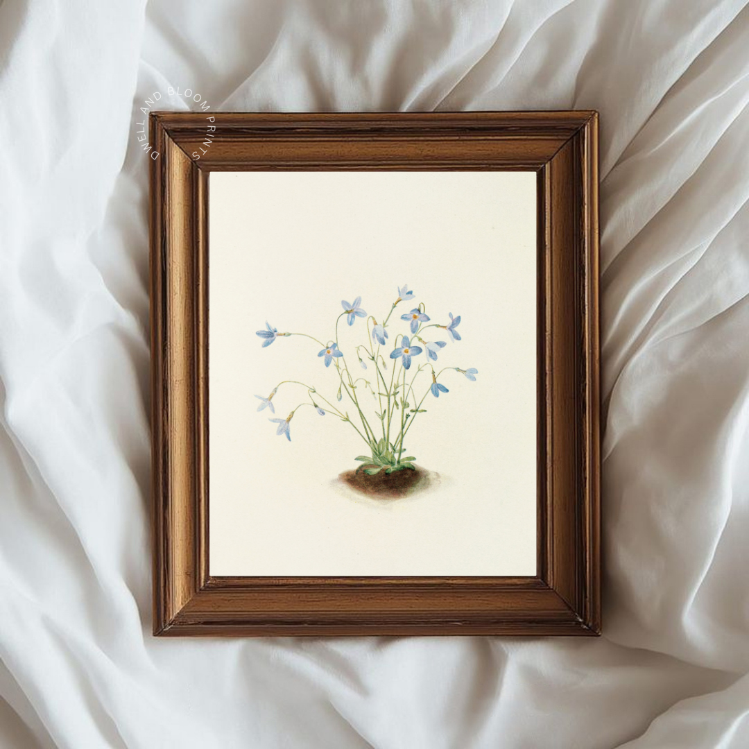Vintage Floral Art Print | Vintage Botanical Illustration