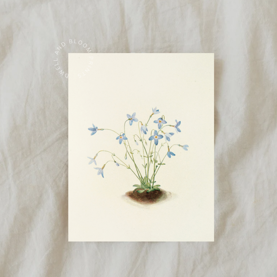 Vintage Floral Art Print | Vintage Botanical Illustration