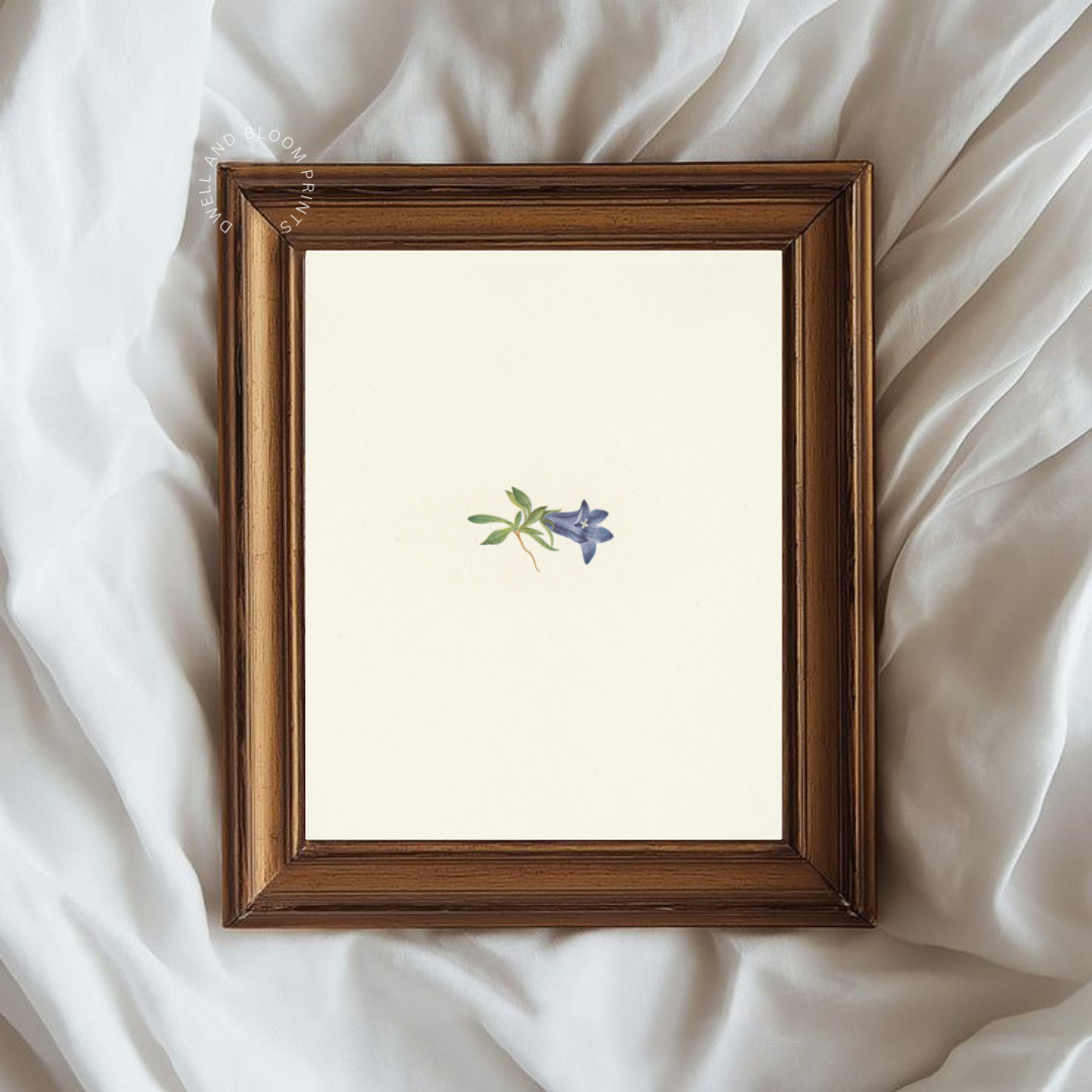 Minimalist Vintage Floral Art Print | Vintage Botanical Wall Art