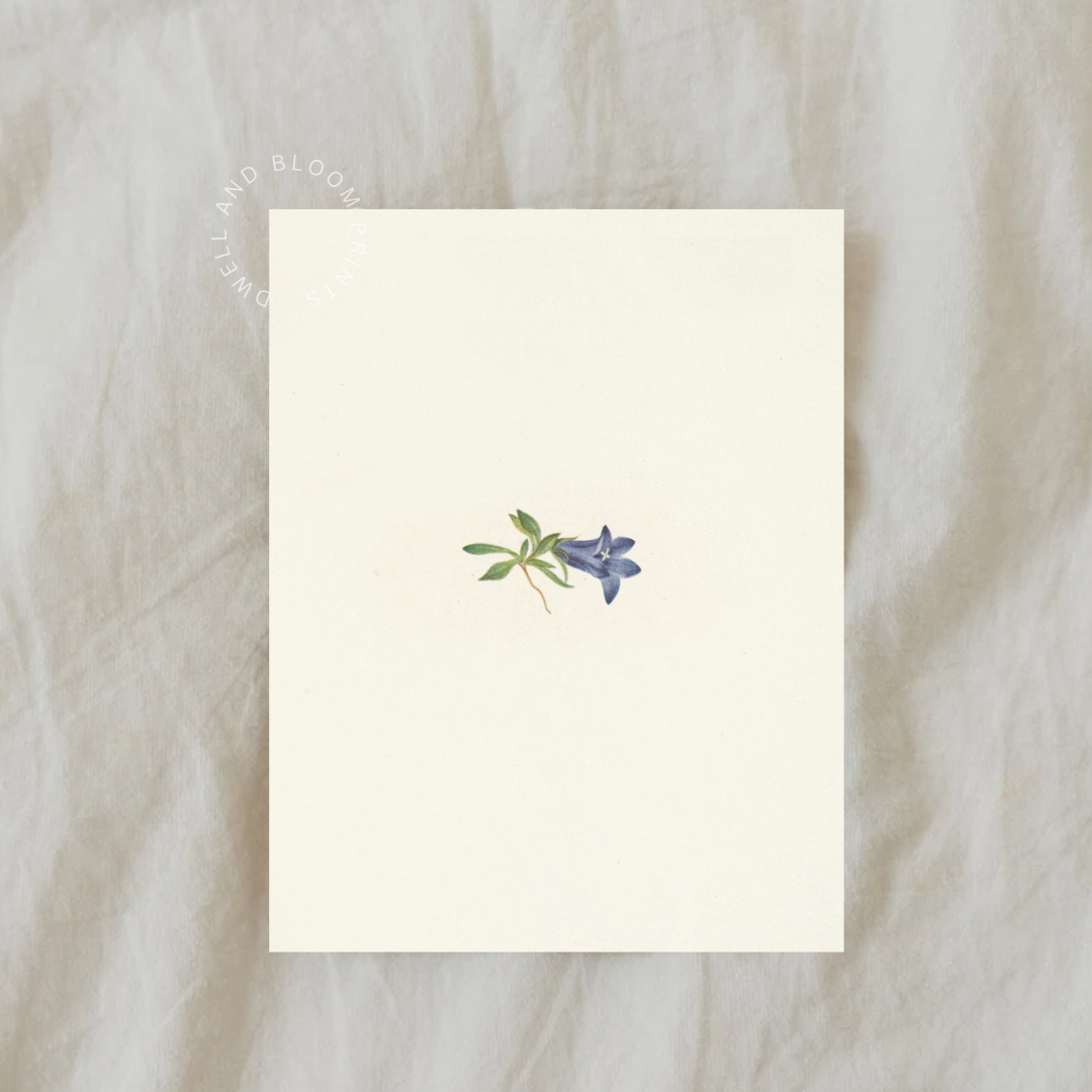 Minimalist Vintage Floral Art Print | Vintage Botanical Wall Art