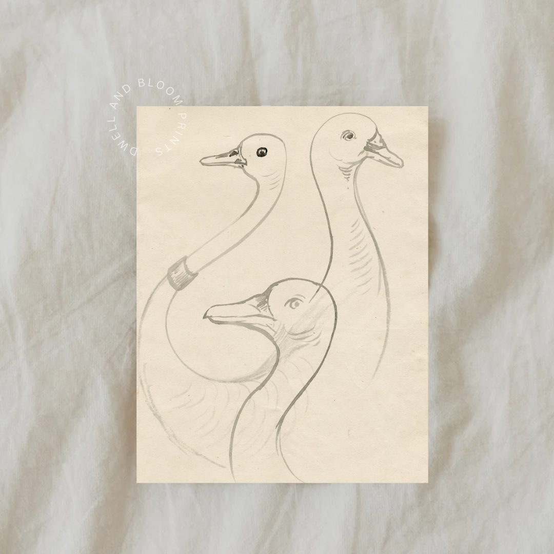 Vintage Goose Sketch Print | Vintage Nursery Wall Art 