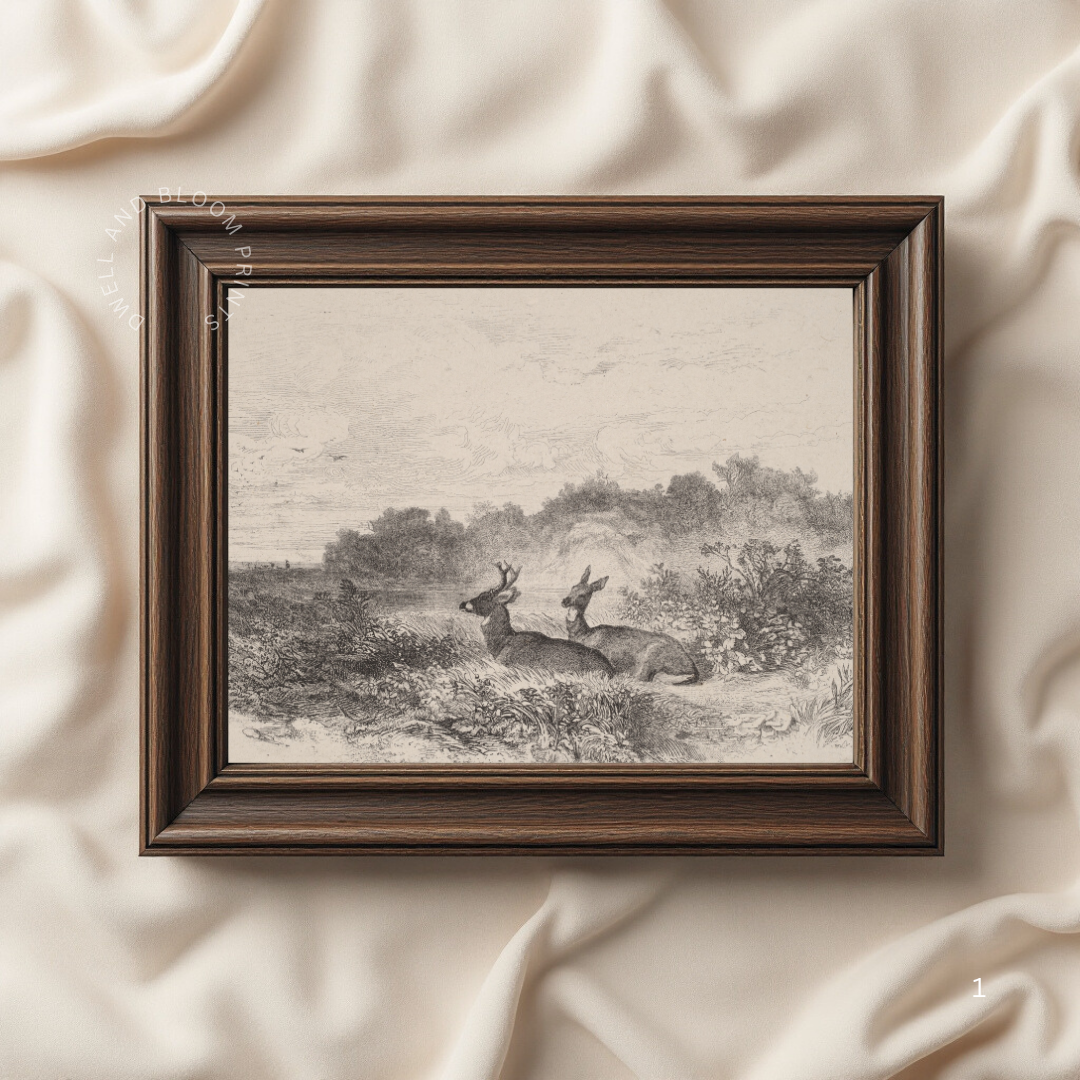 Vintage Deer Sketch | Vintage Nursery Art Print