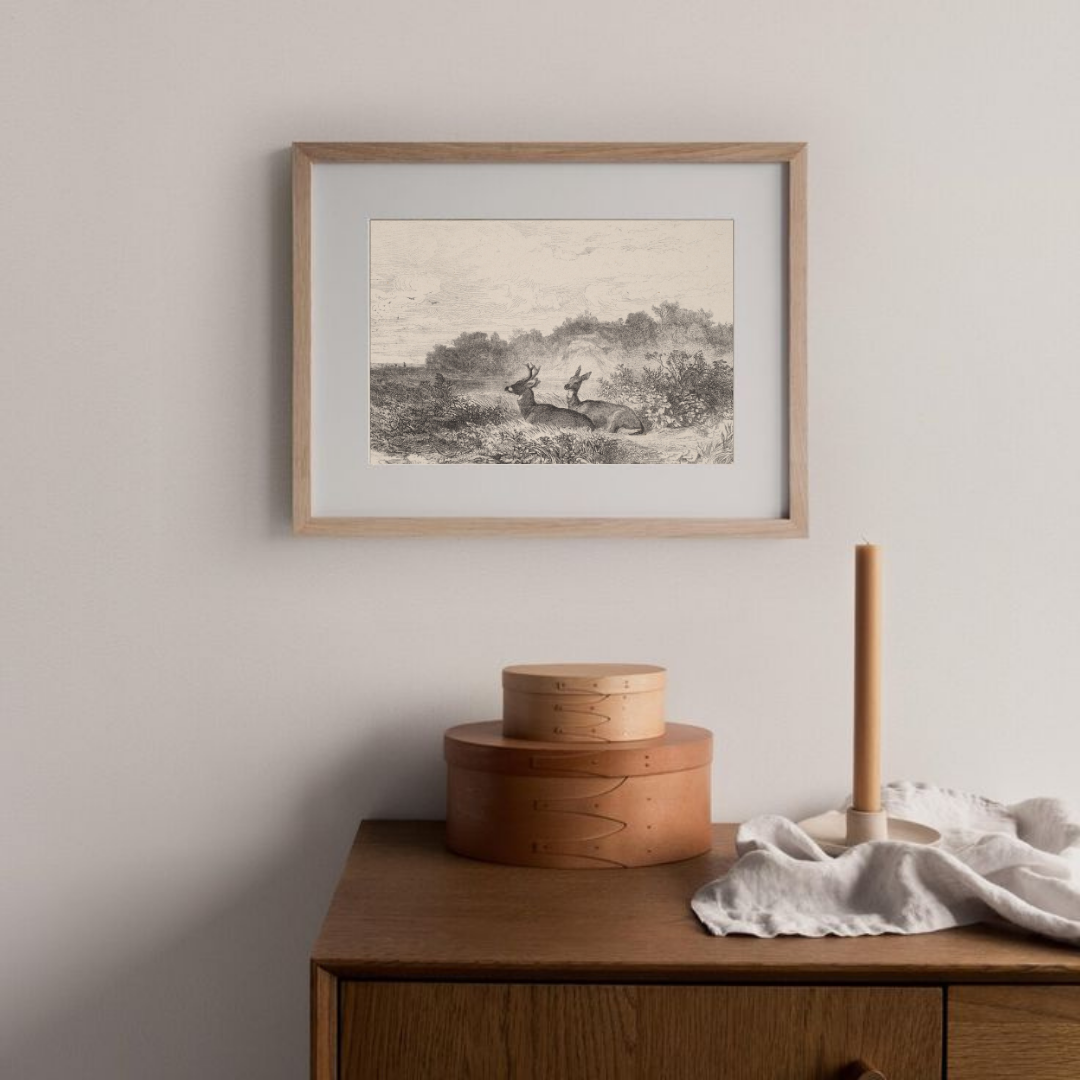 Vintage Deer Sketch | Vintage Nursery Art Print