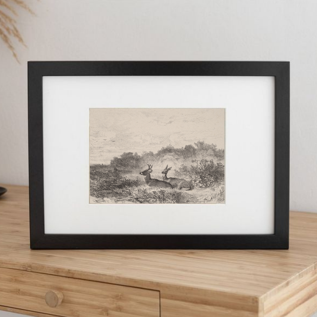 Vintage Deer Sketch | Vintage Nursery Art Print