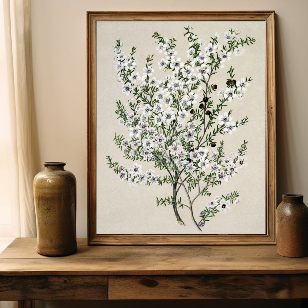 Vintage Botanical Art Print | Vintage Flower Drawing