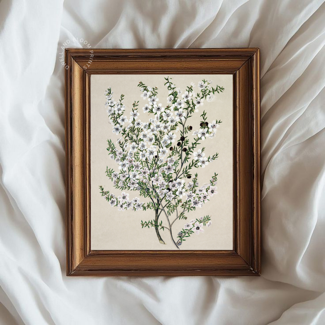 Vintage Botanical Art Print | Vintage Flower Drawing