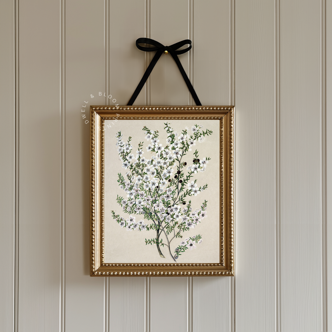Vintage Botanical Art Print | Vintage Flower Drawing