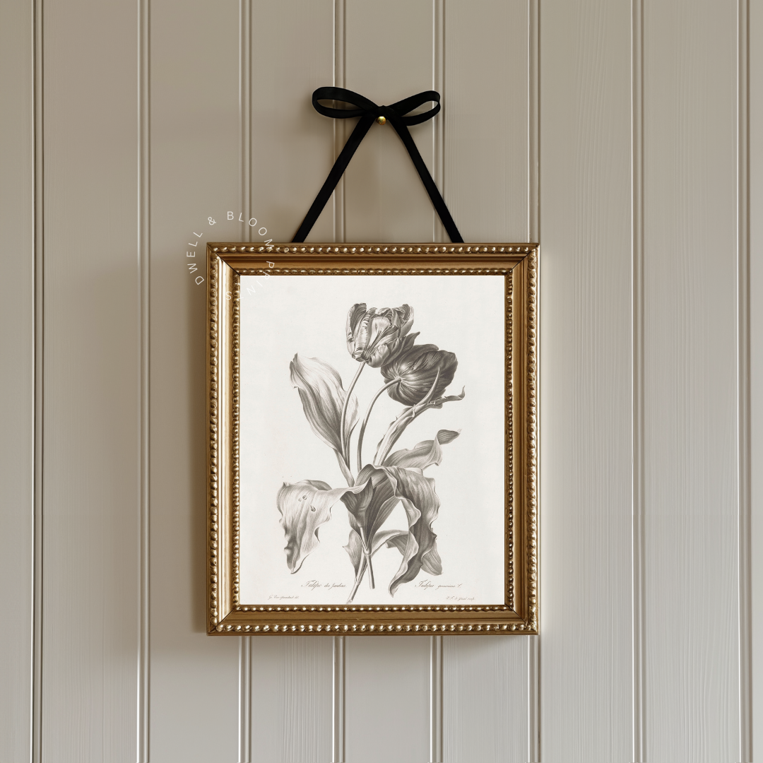 Vintage Neutral Botanical Art Print | Vintage Tulip Drawing 