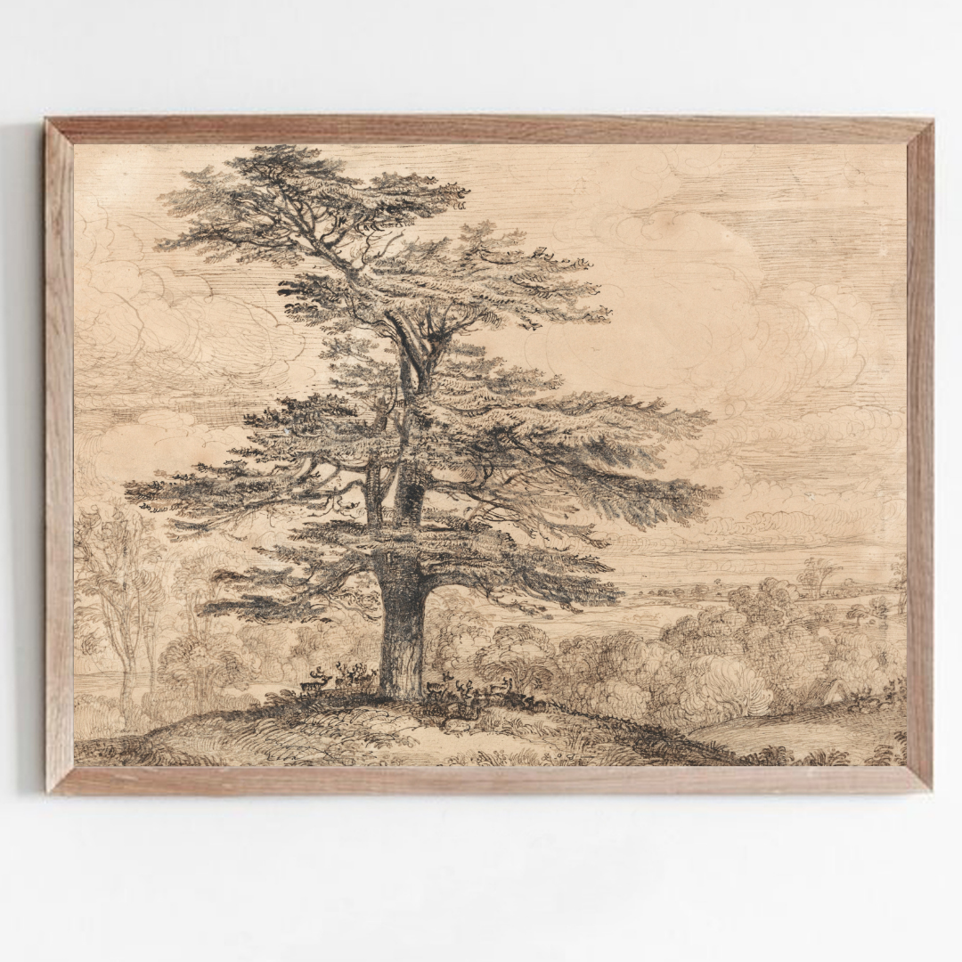 Vintage Tree Sketch Print | Tree Wall Art Printable