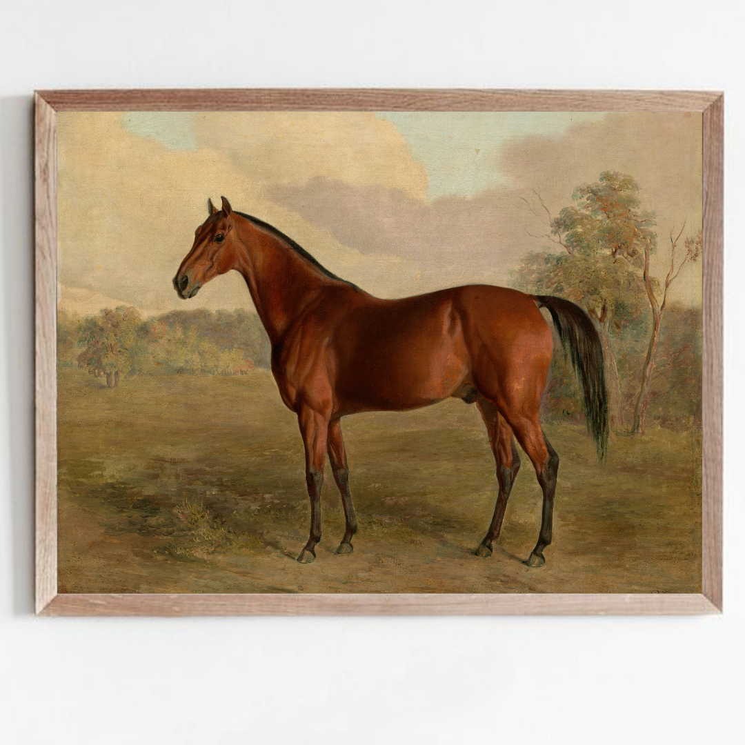 Equestrian Wall Art | Vintage Horse Oil Painting