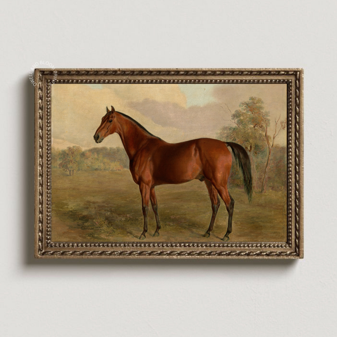 Equestrian Wall Art | Vintage Horse Oil Painting