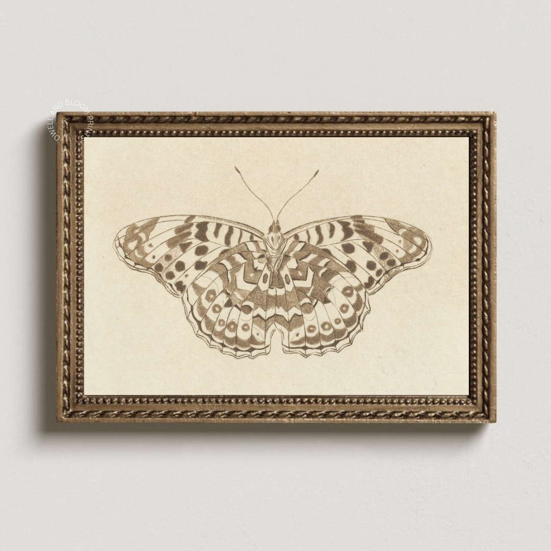 Antique Butterfly Sketch Printable Wall Art | Vintage Butterfly Art Print