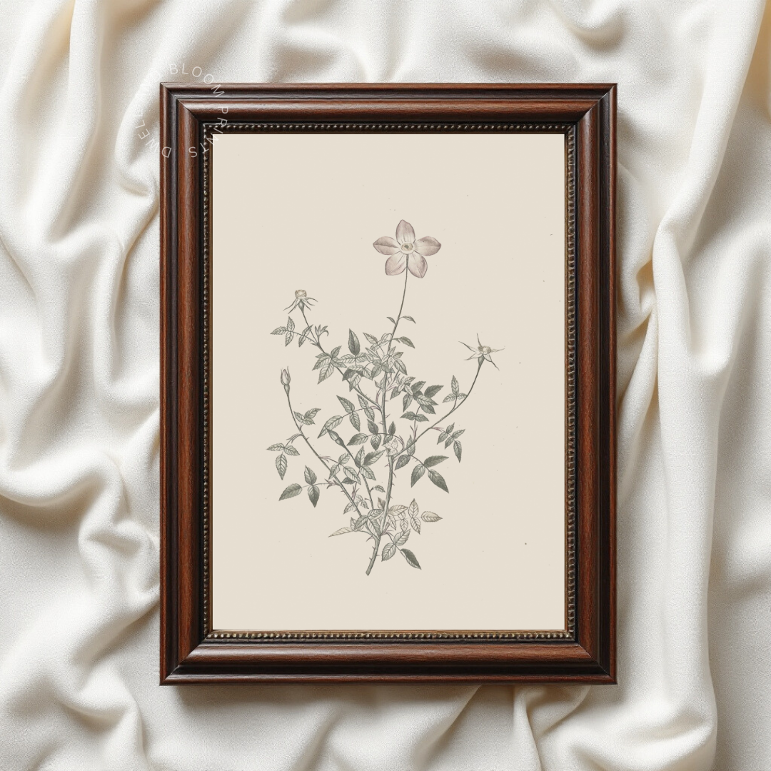 Vintage Neutral Botanical Print | Neutral Botanical Wall Art