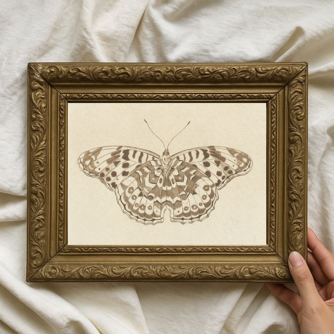 Antique Butterfly Sketch Printable Wall Art | Vintage Butterfly Art Print