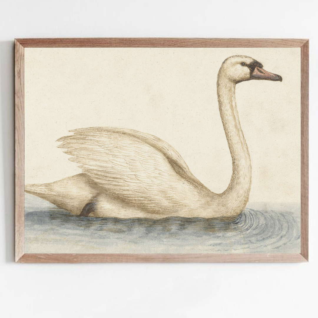 Vintage Swan Painting | Vintage Nursery Art Print