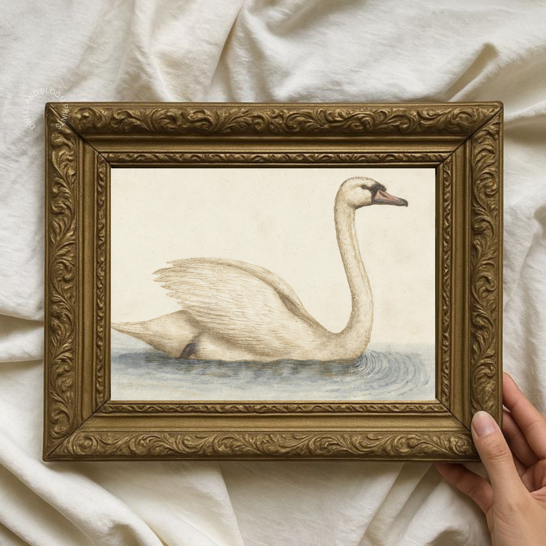 Vintage Swan Painting | Vintage Nursery Art Print