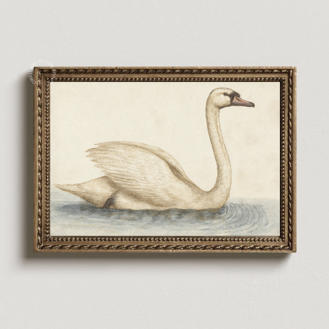 Vintage Swan Painting | Vintage Nursery Art Print