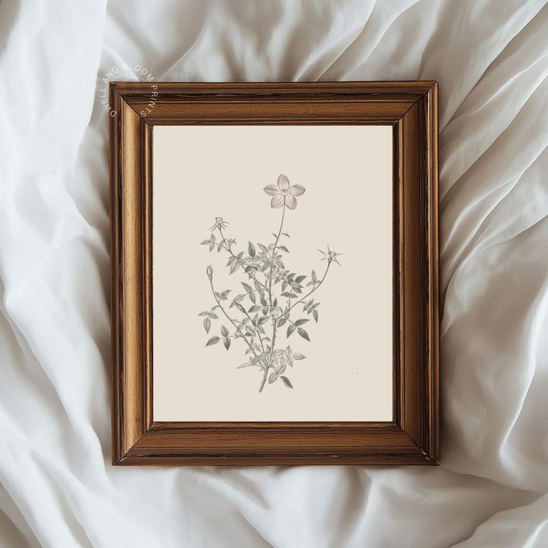 Vintage Neutral Botanical Print | Neutral Botanical Wall Art