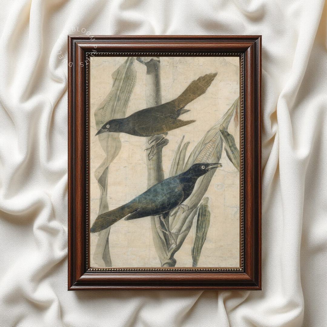 Vintage Crow Art Print | Vintage Bird Wall Art