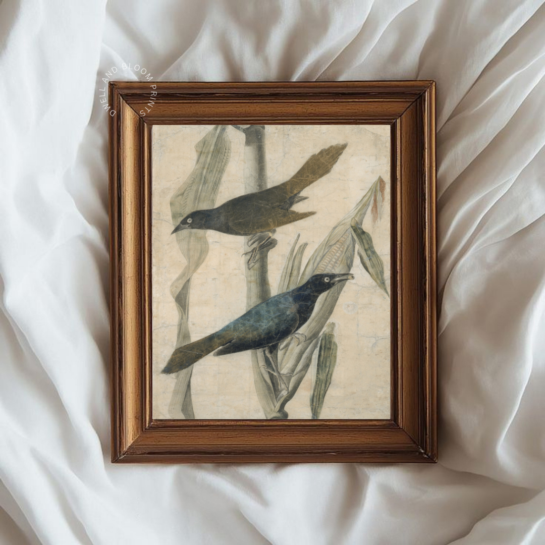Vintage Crow Art Print | Vintage Bird Wall Art