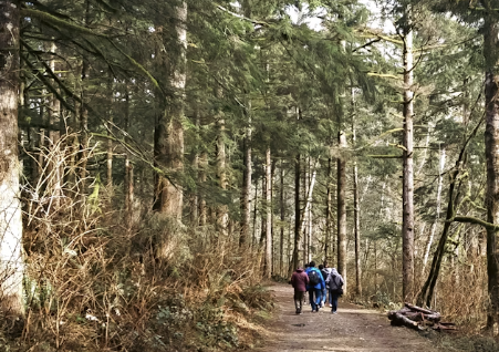 Parlons-nous dans les bois !