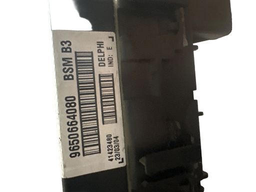 BSM PEUGEOT 206 9650664080
