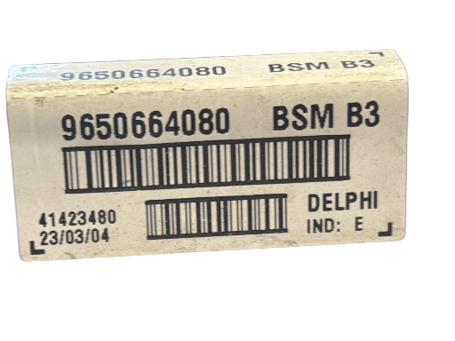 BSM B3 Peugeot 206  9650664080