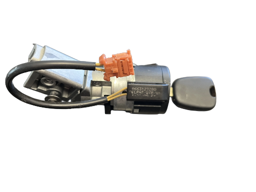 Neiman Peugeot 207  9663123280
