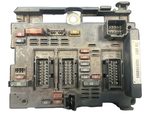 BSM B3 Peugeot 206  9650664080