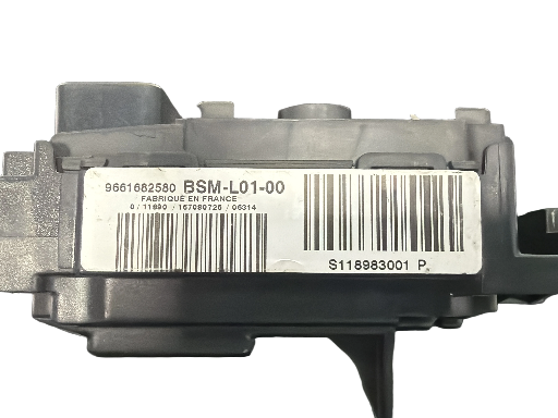 BSM Peugeot 407 9661682580