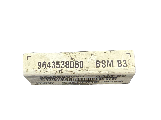 BSM B3 PSA 206 9643538080