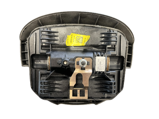 Airbag Renault Scenic 2 8200310300