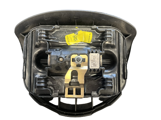 Airbag Renault Espace 4 | 8200198984