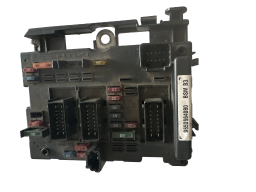 BSM PEUGEOT 206 9650664080