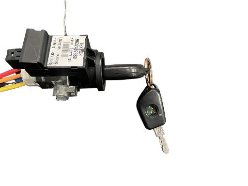 Neiman Peugeot 406 9632487880