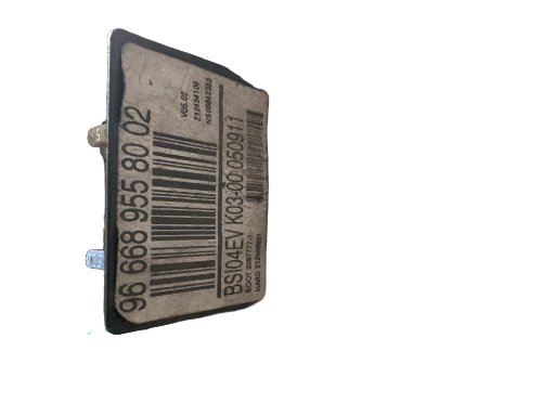 BSI PSA PARTNER / BERLINGO