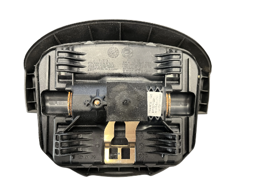 Airbag Renault Scenic 2 8200310291