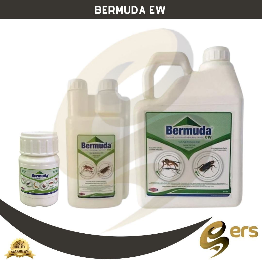 Bermuda EW