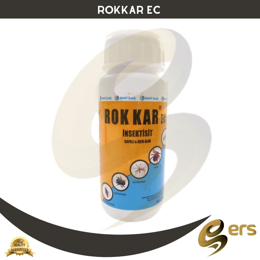 Rokkar EC