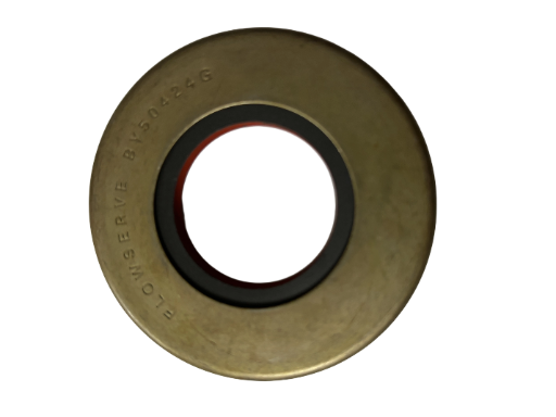 BY50424G-TSSR, Seal, DURCO / FLOWSERVE