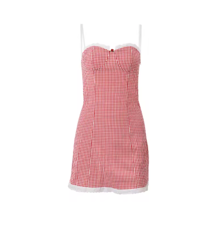Red and White Gingham Dress