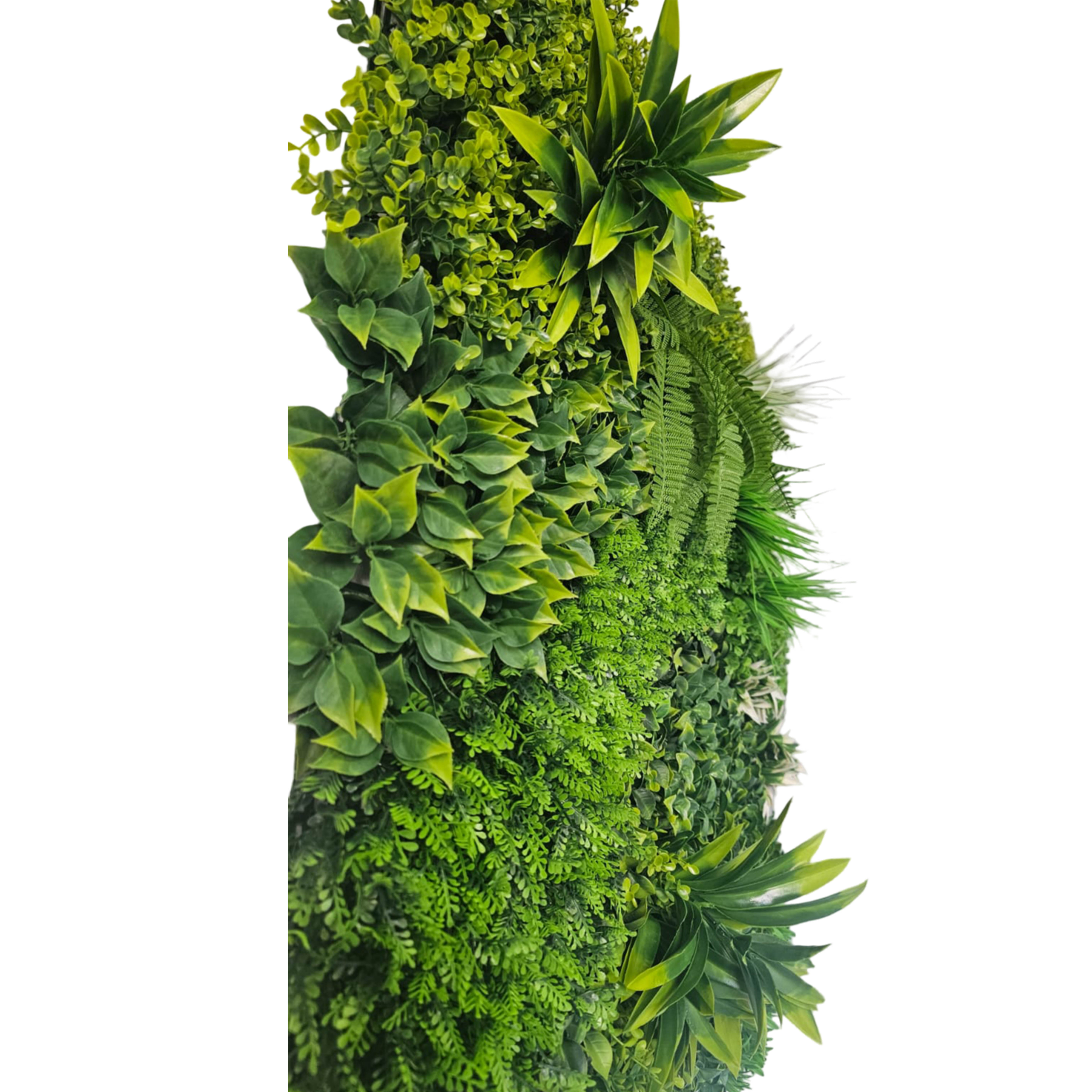 Mur végétal artificielle - Reva Amazonia