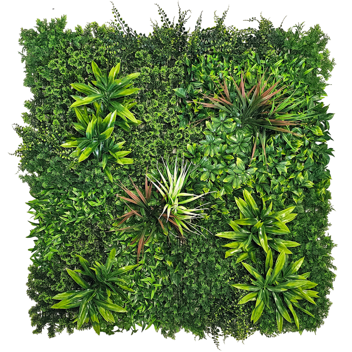 Mur végétal artificielle - Reva Tropical