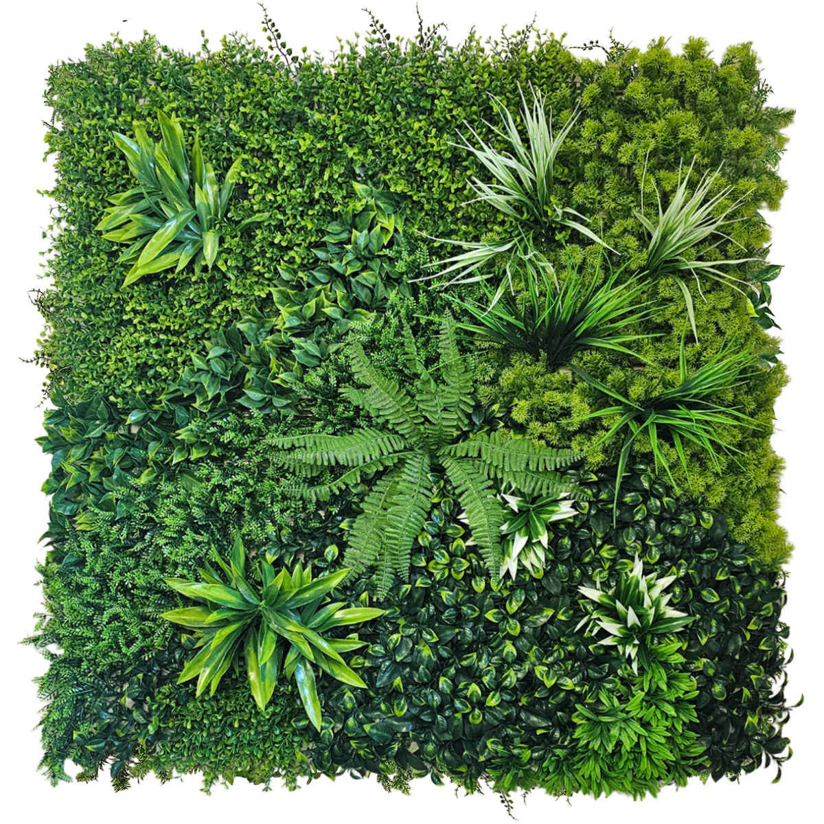 Mur végétal artificielle - Reva Amazonia