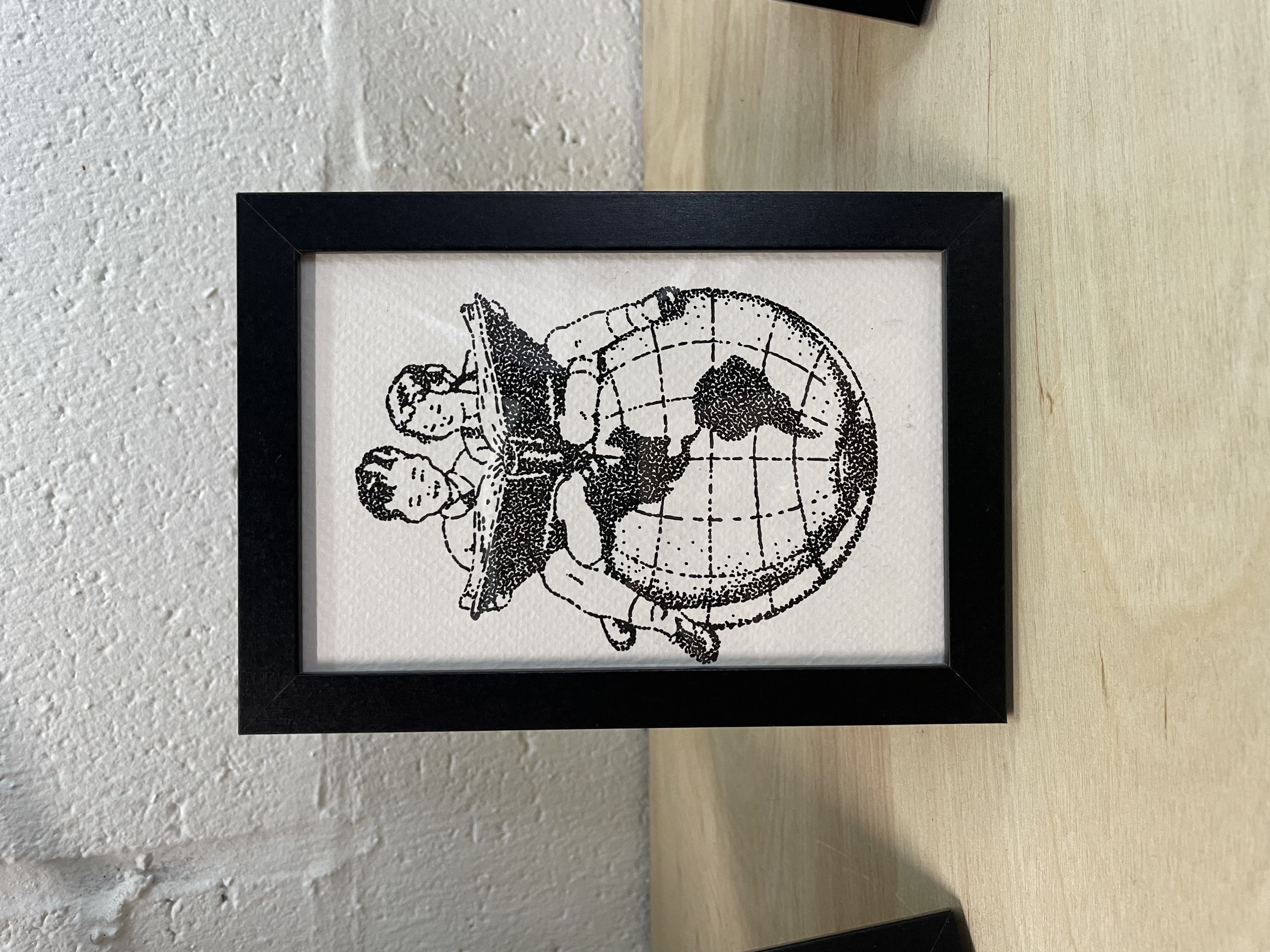 Discover the world 
