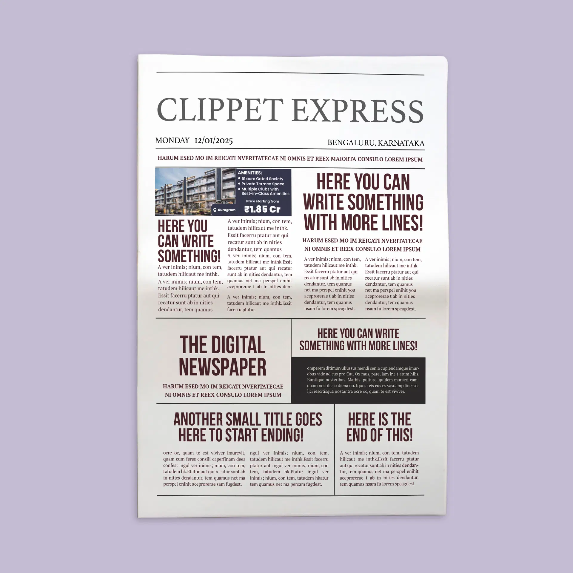 Newspaper/Magazine Skybus Ad Design